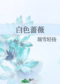 白色蔷薇